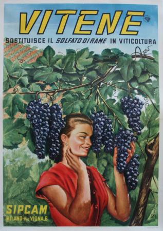  Affiche Ancienne Originale Vitene Par W. Bacchi - 11931550761570.jpg