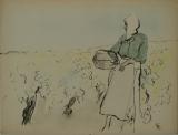 Affiche Ancienne Originale 52. Femme dans les vignes avec un panier - 1289827234319.jpg