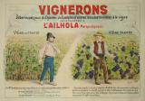 Affiche Ancienne Originale Vignerons débarassez vous ... traitement l’Ailh - 14335947591427.jpg